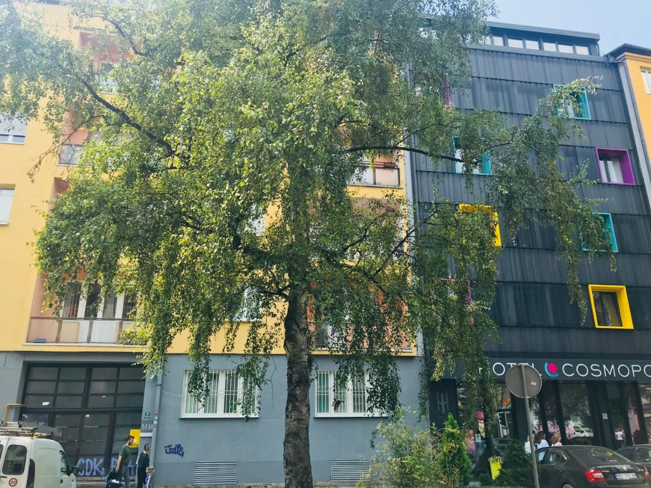 Colors Apartment 塞拉耶佛 外观 照片